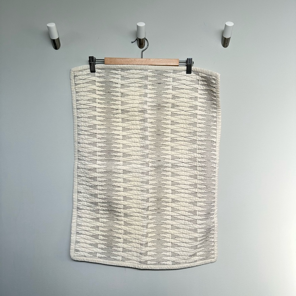 Dwell Studio pillows shams (pair)